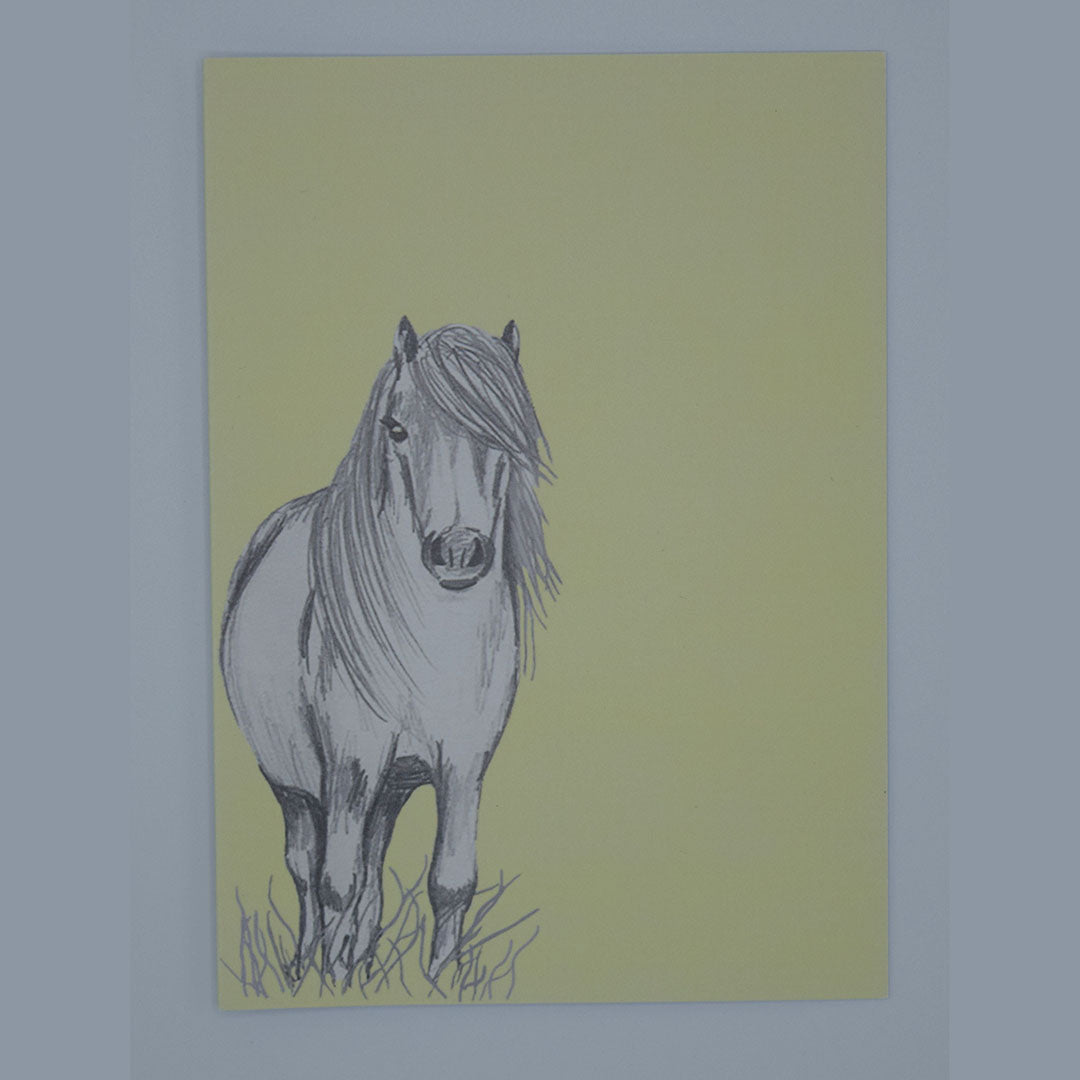 Pack of 4 Shetland Pony Gift cards