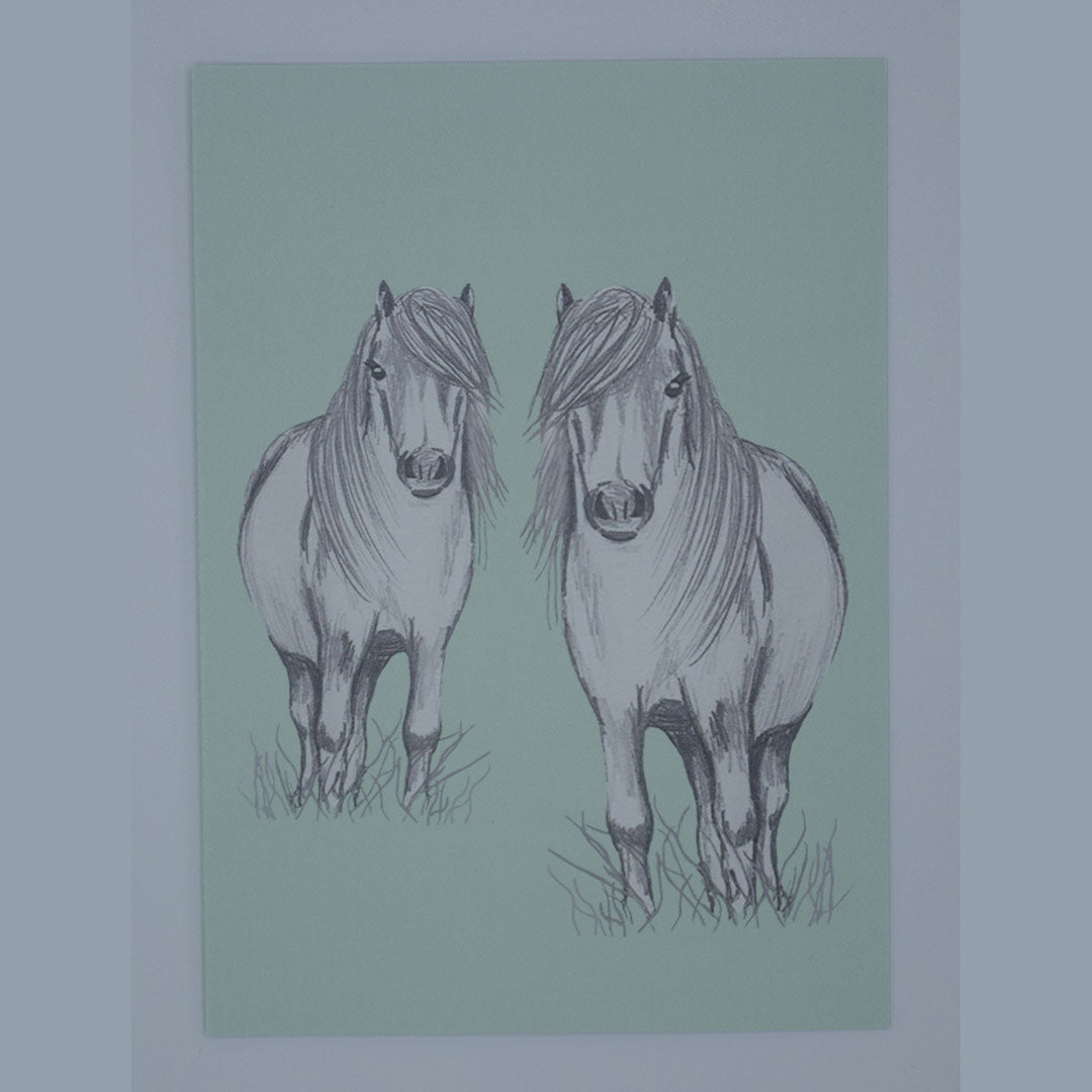 Pack of 4 Shetland Pony Gift cards