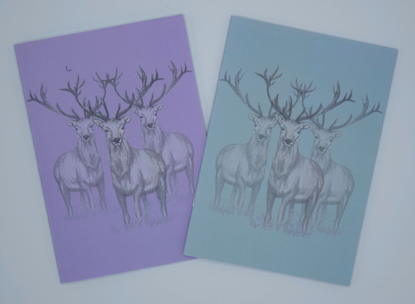 Pack of 4 Stag Gift cards